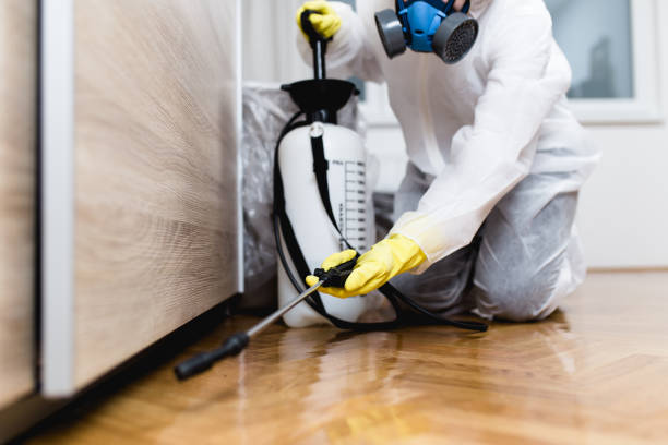 Best Pest Prevention Services  in Euclid, OH