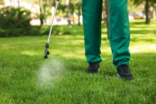 Best Affordable Pest Control Services  in Euclid, OH