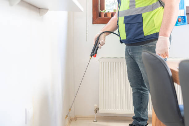 Best Ant Control Services  in Euclid, OH