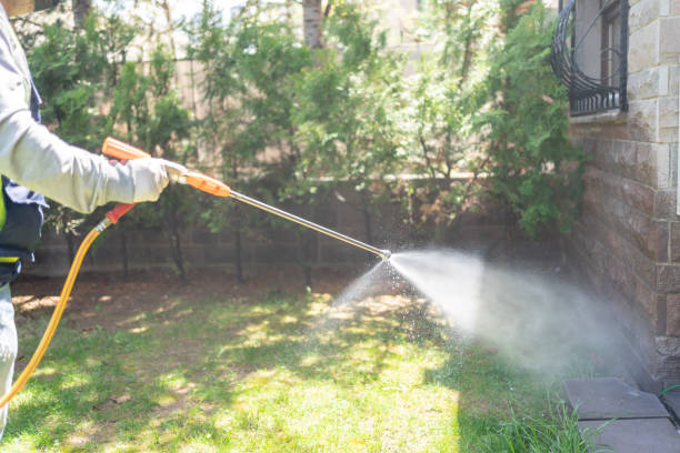 Best Flea Control Services  in Euclid, OH