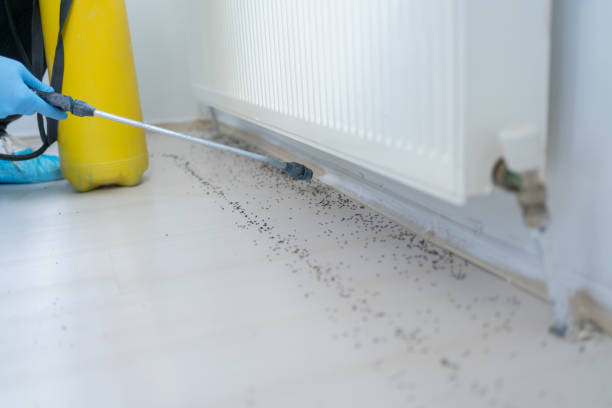 Best Pest Control Near Me  in Euclid, OH