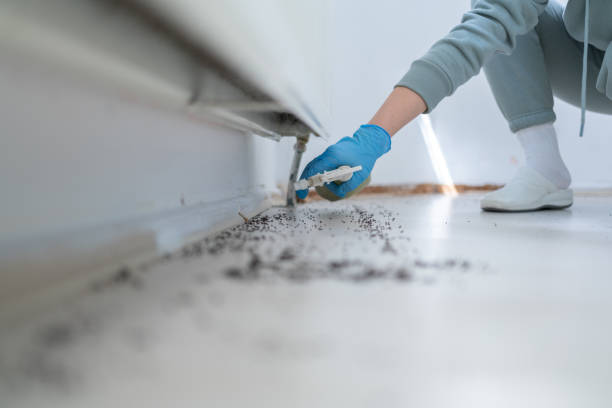 Best Emergency Pest Control  in Euclid, OH