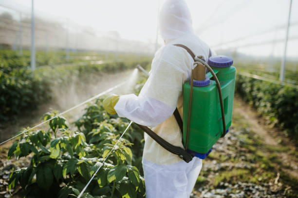 Best Pest Control for Businesses  in Euclid, OH